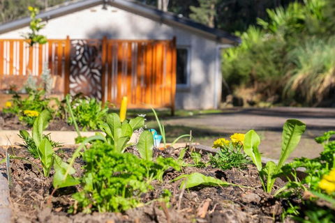 Pure Valley Estate - Accommodation in Bendigo 3