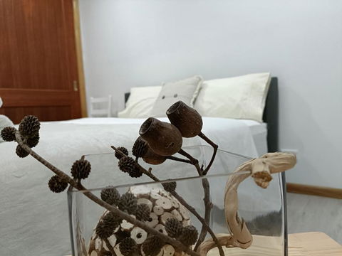Quiet Nature-Filled Ground Floor Unit - Accommodation in Bendigo 1