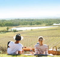 Audrey Wilkinson Vineyard - Accommodation in Bendigo