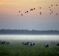 Bamurru Plains - Accommodation in Bendigo
