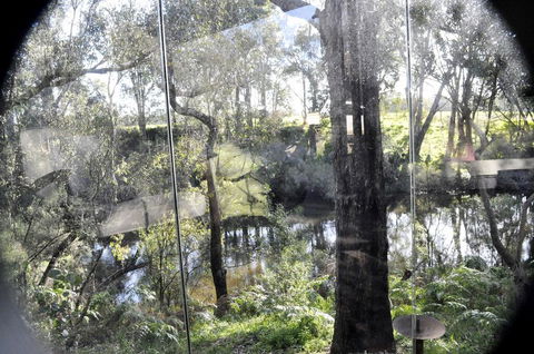 Barrabup Sanctuary BirdHide - Accommodation in Bendigo 1