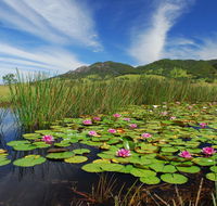 Barrington Hideaway- River Cottages - Accommodation in Bendigo