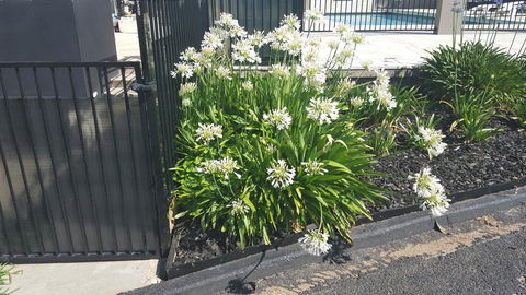 Bathurst Gold Panner - Accommodation in Bendigo 1