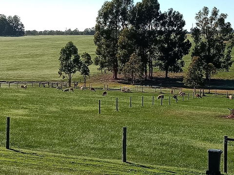 Redtail Ridge Cottages - Accommodation in Bendigo 1