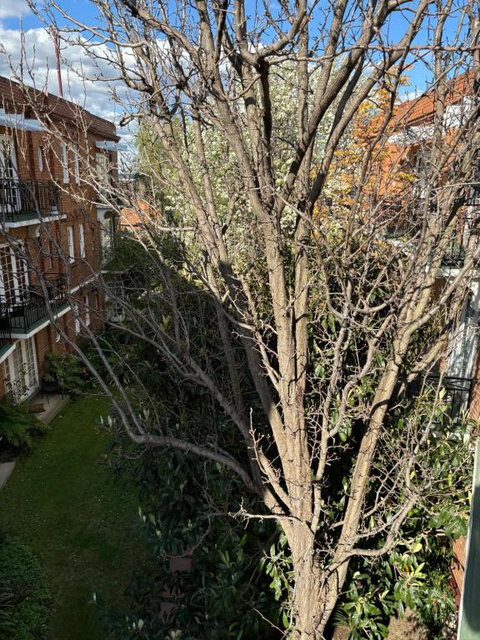 Regents Gate East Melbourne - Accommodation in Bendigo 1