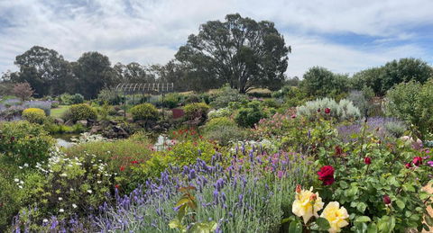River Gardens Axedale Pet Friendly Farmstay B&B - Accommodation in Bendigo 0