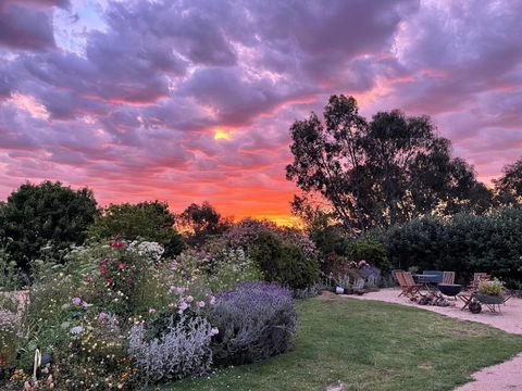 River Gardens Axedale Pet Friendly Farmstay B&B - Accommodation in Bendigo 3