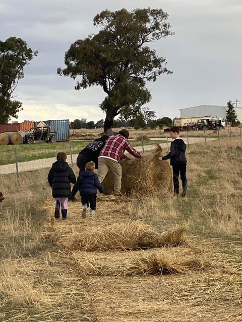 River Gardens Axedale Pet Friendly Farmstay B&B - Accommodation in Bendigo 1