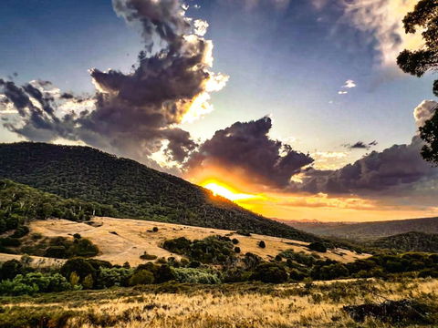 Roam Merrijig - Luxury Stay With Mountain Views - Foothills Of Mt Buller - Accommodation in Bendigo 1