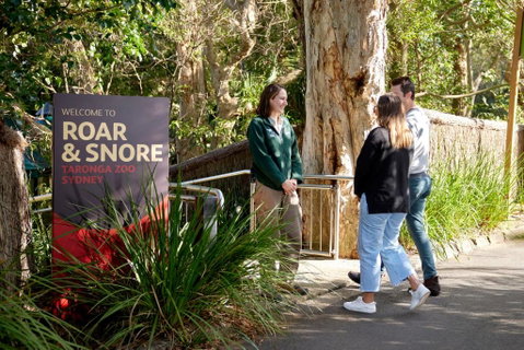 Roar And Snore - Accommodation in Bendigo 1