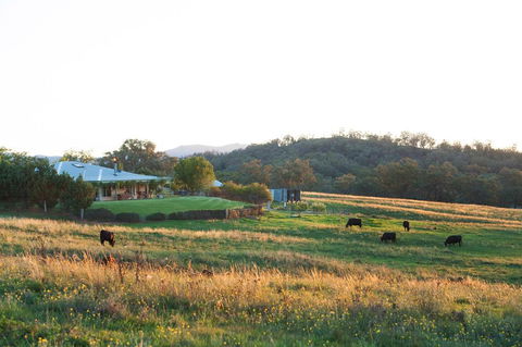 Rosby Guesthouse And Studio - Accommodation in Bendigo 0