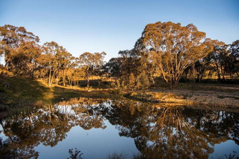 Rose Quartz - 1 Bed With Mountain Views - Kundalini Lodge - Accommodation in Bendigo 1