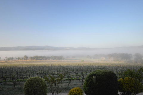 Sancerre Estate - Accommodation in Bendigo 3