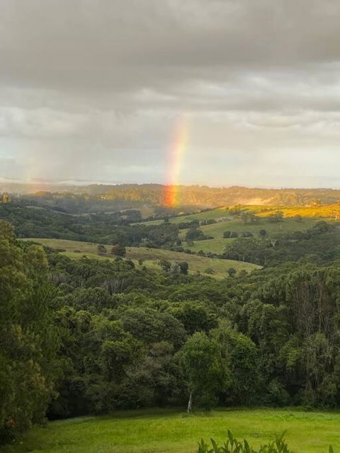 Sanctuary In Luscious Green Hills Of Coorabell - Accommodation in Bendigo 2