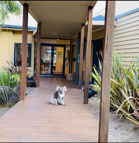 Sandpiper Motel Apollo Bay - Accommodation in Bendigo 3