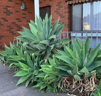 Beautiful Bedroom in Bentleigh East - Accommodation in Bendigo