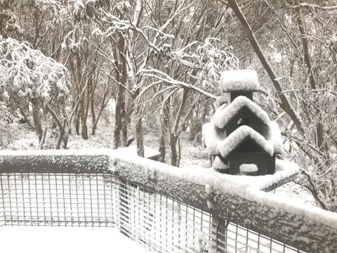 Belltrees - Accommodation in Bendigo 1