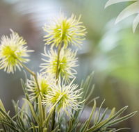 Bessou - Accommodation in Bendigo