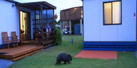Book Kelso Accommodation Vacations Accommodation in Bendigo Accommodation in Bendigo