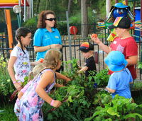 Book Lemon Tree Passage Accommodation Vacations Accommodation in Bendigo Accommodation in Bendigo