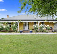 Blue Wren - Accommodation in Bendigo