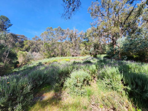 The Lavender Patch - Accommodation in Bendigo 3