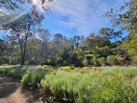 The Lavender Patch - Accommodation in Bendigo 2