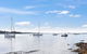 Wangi Dreaming - thumb 0
