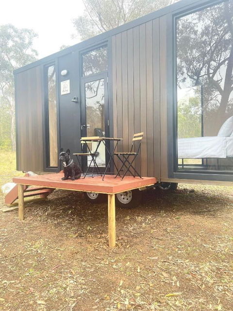 Whispering Wallaby By Tiny Away - Accommodation in Bendigo 1