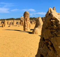 Pinnacles Desert Private Day Tour