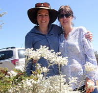Spring Wildflower Private Day Tours