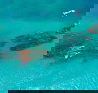 Private Tangalooma Wrecks Tour - Accommodation in Bendigo