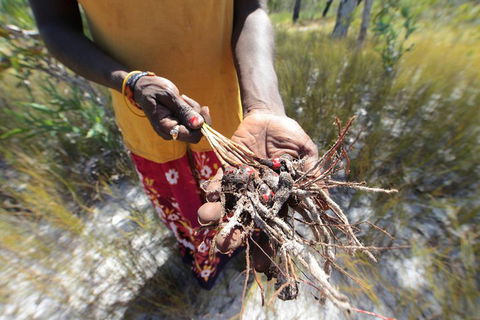 Gay-Wu Woman's 5 Day Yolngu Homeland Tour - Accommodation in Bendigo 0