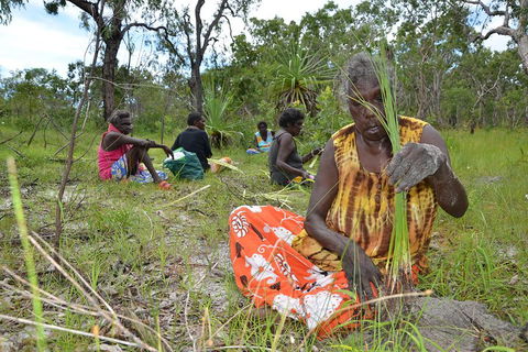 Gay-Wu Woman's 5 Day Yolngu Homeland Tour - Accommodation in Bendigo 2