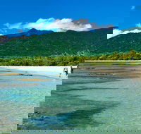 5-Day Best of Cairns with Daintree Kuranda and Great Barrier Reef - Accommodation in Bendigo