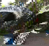 Kuranda Day Trip from Port Douglas upgrade to Skyrail  Scenic train available - Accommodation in Bendigo