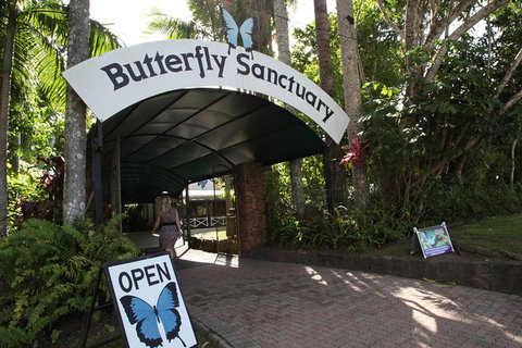 Kuranda Day Trip From Port Douglas Upgrade To Skyrail & Scenic Train Available - Accommodation in Bendigo 0