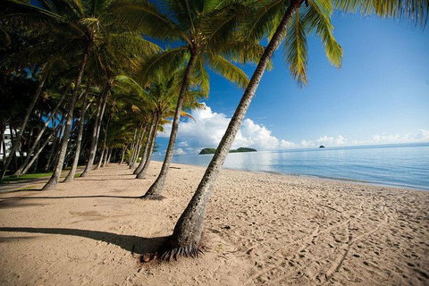 Kuranda Day Trip From Port Douglas Upgrade To Skyrail & Scenic Train Available - Accommodation in Bendigo 1