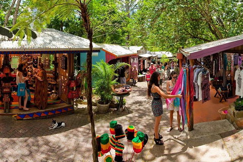 Kuranda Day Trip From Port Douglas Upgrade To Skyrail & Scenic Train Available - Accommodation in Bendigo 2