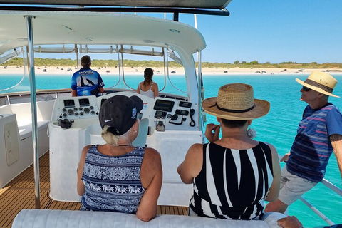 Snubfin Dolphin Eco Cruise From Broome - Accommodation in Bendigo 5