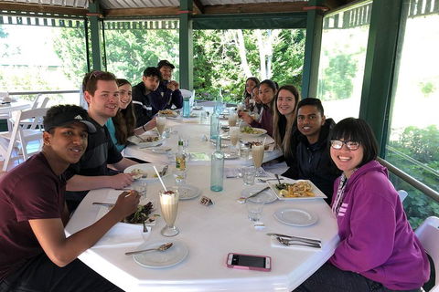 Natural Bridge, Skywalk And Mt Tamborine Adventure! - Accommodation in Bendigo 0