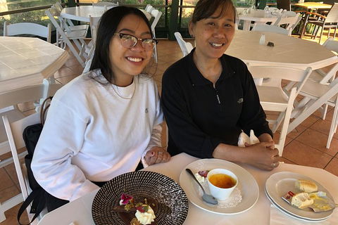 Natural Bridge, Skywalk And Mt Tamborine Adventure! - Accommodation in Bendigo 5