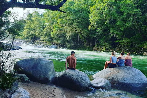Afternoon Half-Day Daintree Rainforest And River Tour - Accommodation in Bendigo 0