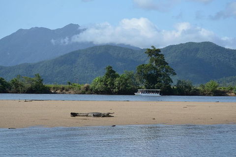 Afternoon Half-Day Daintree Rainforest And River Tour - Accommodation in Bendigo 2