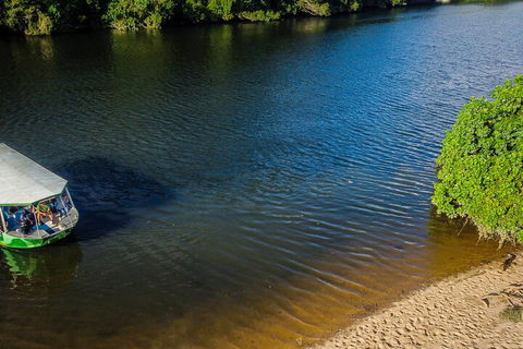 Afternoon Half-Day Daintree Rainforest And River Tour - Accommodation in Bendigo 3