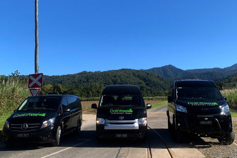 Afternoon Half-Day Daintree Rainforest And River Tour - Accommodation in Bendigo 4