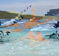 Pippies 3 Days 2 Nights Fraser Island Tour - Accommodation in Bendigo