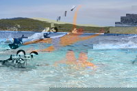 Book Viator Accommodation Vacations Accommodation in Bendigo Accommodation in Bendigo