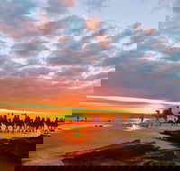 1 Hour Broome Sunset Camel Tour - Accommodation in Bendigo