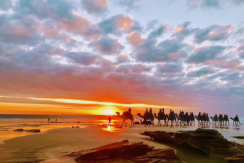 1 Hour Broome Sunset Camel Tour - Accommodation in Bendigo 0